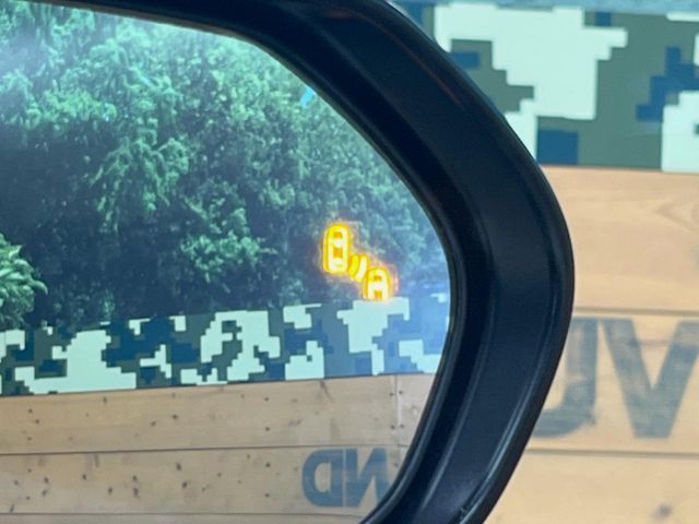 TOYOTA C-HR 2018 Image 31