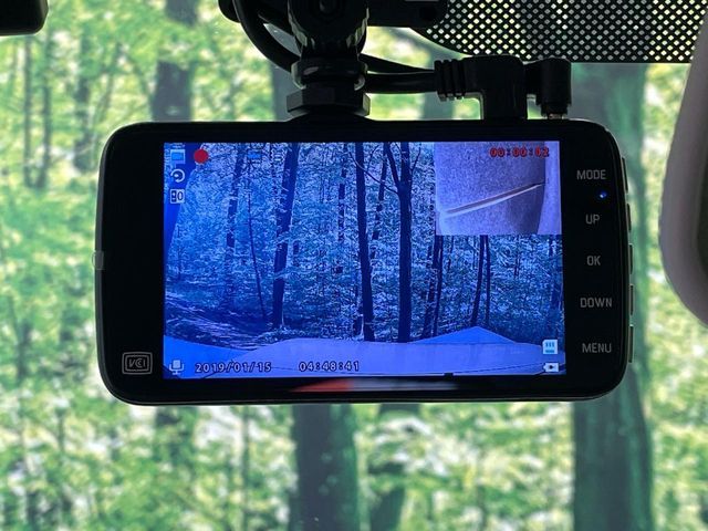 SUZUKI ALTO LAPIN 2019 Image 31