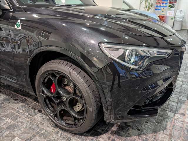 ALFAROMEO STELVIO 2023 Image 31