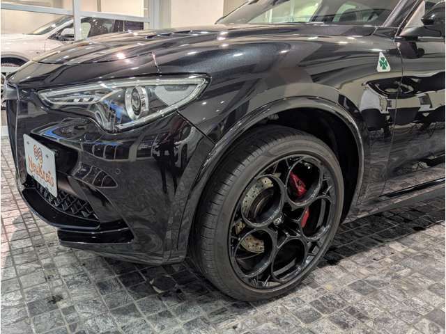 ALFAROMEO STELVIO 2023 Image 31
