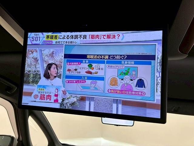 TOYOTA ALPHARD 2024 Image 31