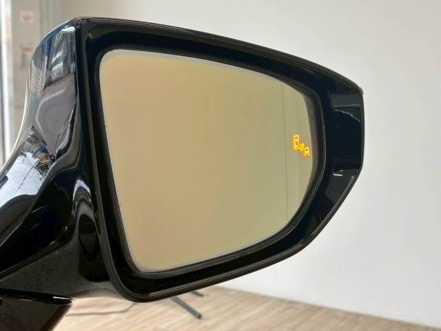 TOYOTA LEXUS UX250H 2019 Image 31