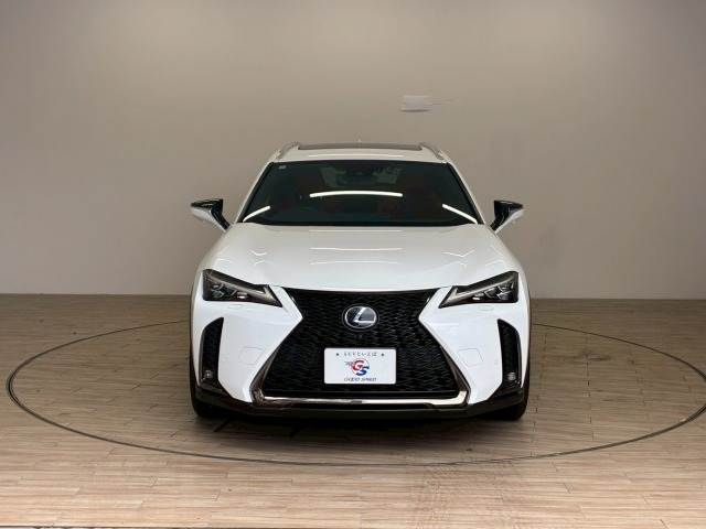 TOYOTA LEXUS UX250H 2019 Image 31