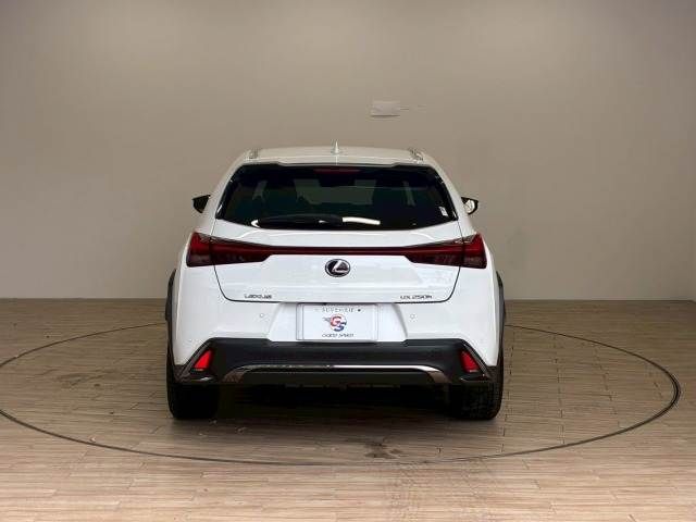 TOYOTA LEXUS UX250H 2019 Image 31