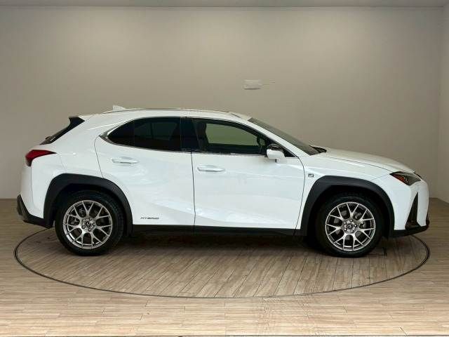 TOYOTA LEXUS UX250H 2019 Image 31