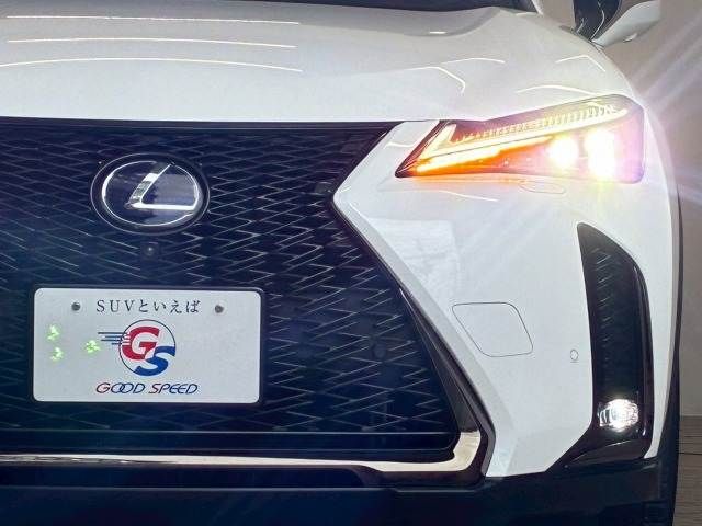 TOYOTA LEXUS UX250H 2019 Image 31