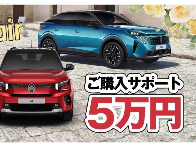 PEUGEOT 2008 2025 Image 31