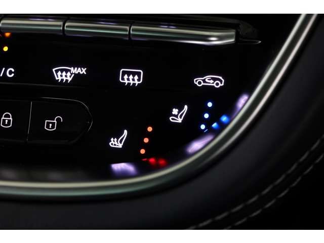 ASTON MARTIN SUV 2021 Image 31