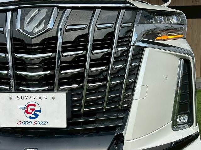 TOYOTA ALPHARD 2019 Image 31