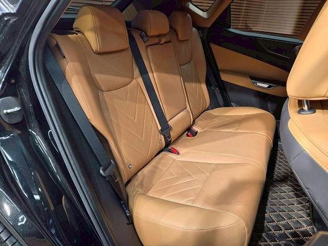 TOYOTA LEXUS NX250 2023 Image 31