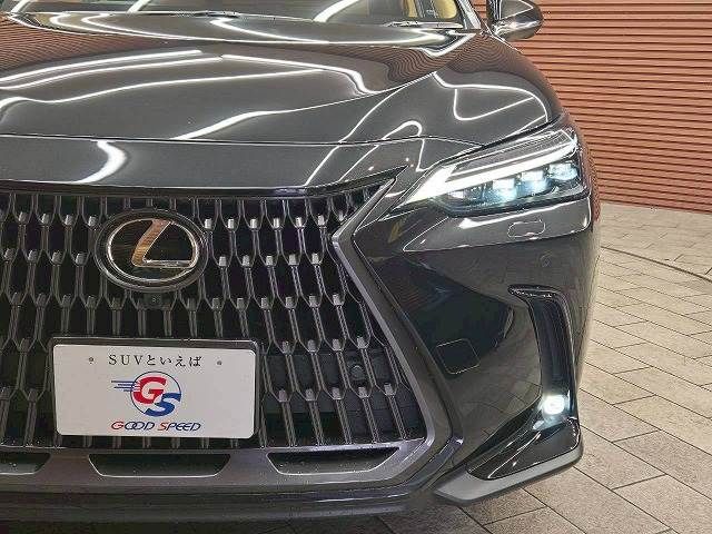 TOYOTA LEXUS NX250 2023 Image 31