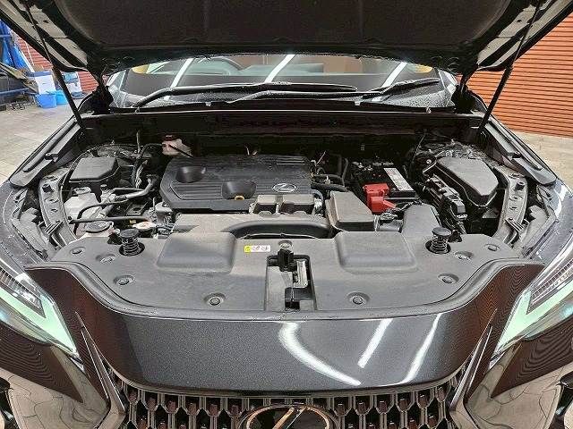 TOYOTA LEXUS NX250 2023 Image 31