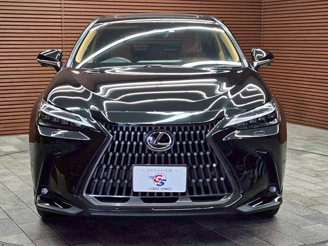 TOYOTA LEXUS NX250 2023 Image 31