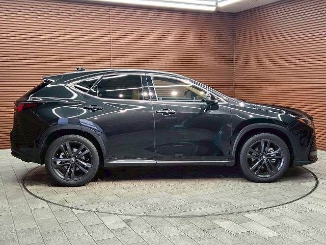 TOYOTA LEXUS NX250 2023 Image 31
