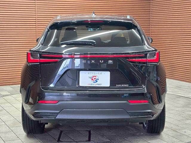 TOYOTA LEXUS NX250 2023 Image 31