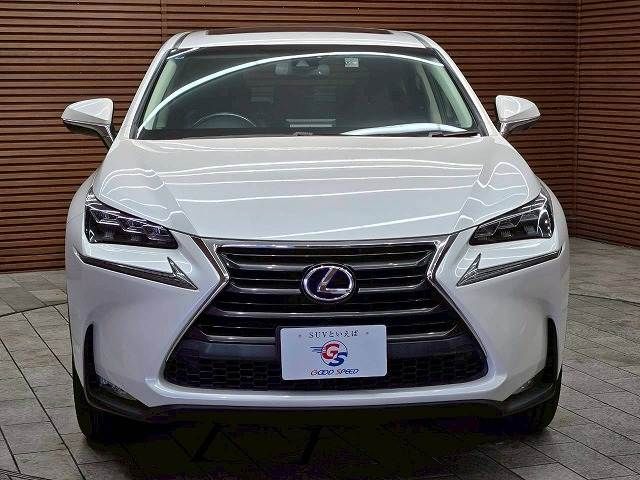 TOYOTA LEXUS NX300H 2015 Image 31