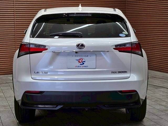 TOYOTA LEXUS NX300H 2015 Image 31