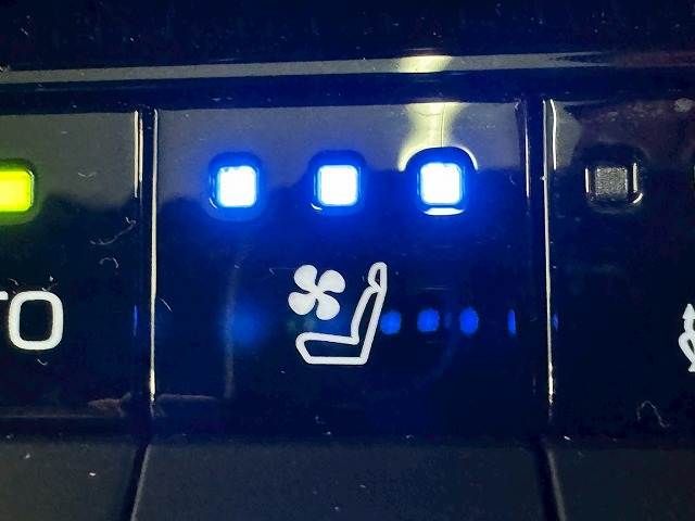 TOYOTA LANDCRUISER 250 2024 Image 31