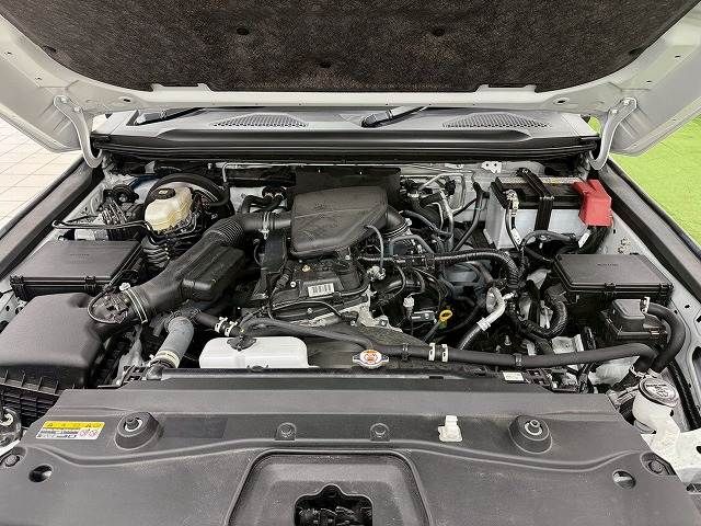 TOYOTA LANDCRUISER 250 2024 Image 31