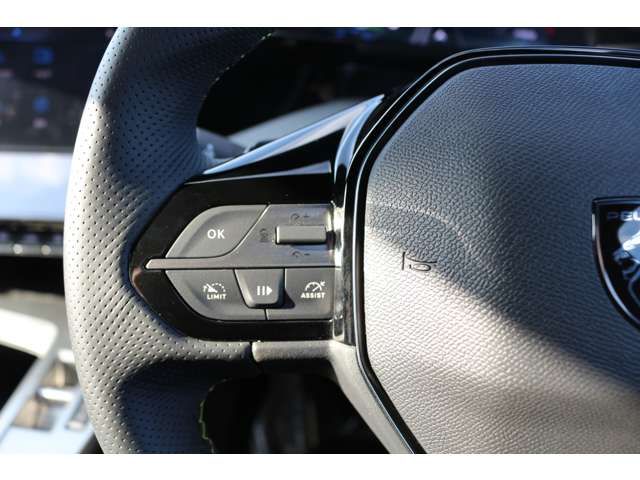 PEUGEOT 308SW 2025 Image 31