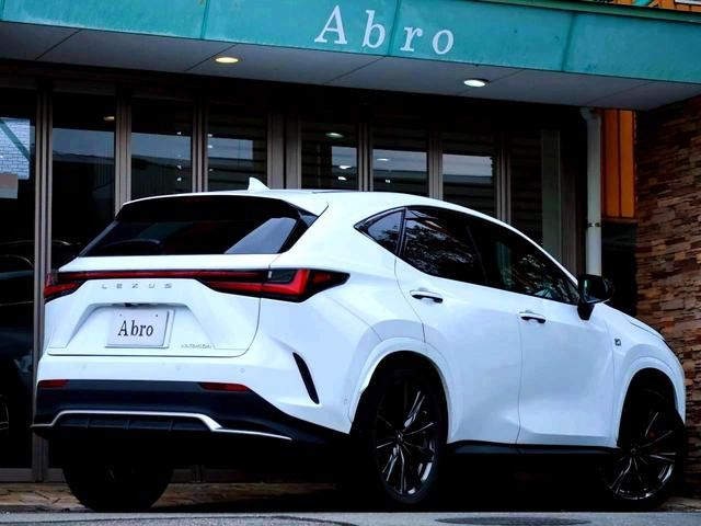 TOYOTA LEXUS NX350H 2021 Image 31