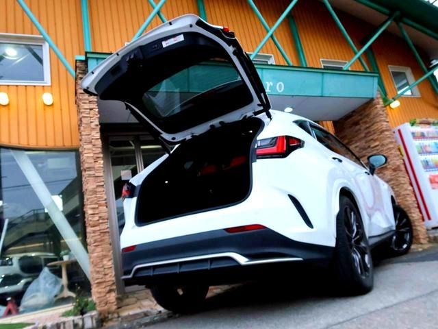 TOYOTA LEXUS NX350H 2021 Image 31