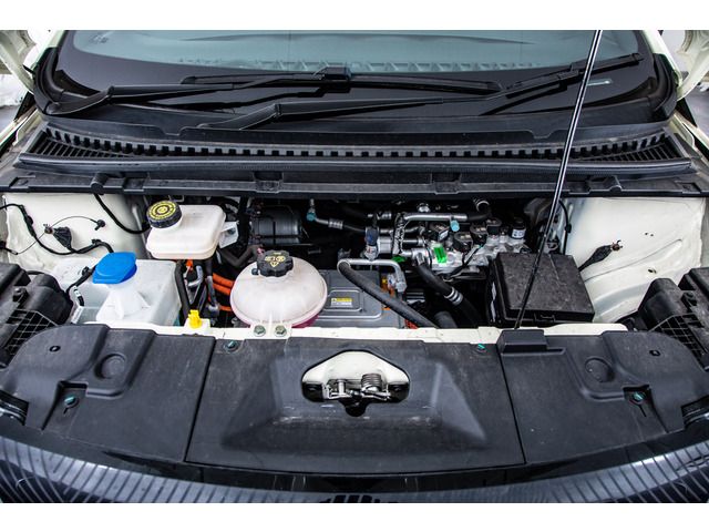 BYD DOLPHIN 2023 Image 31