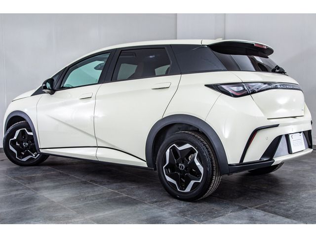 BYD DOLPHIN 2023 Image 31