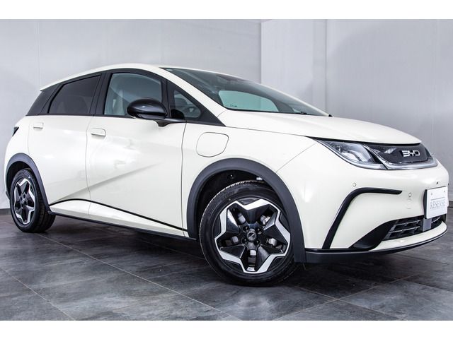 BYD DOLPHIN 2023 Image 31