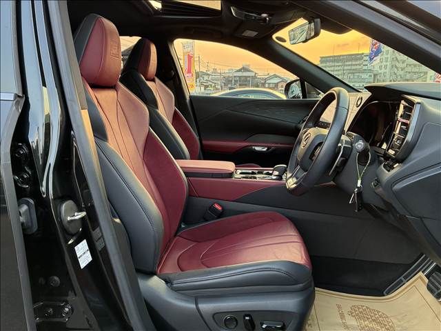 TOYOTA LEXUS RX500H 2023 Image 31