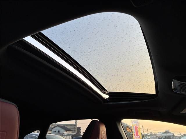 TOYOTA LEXUS RX500H 2023 Image 31