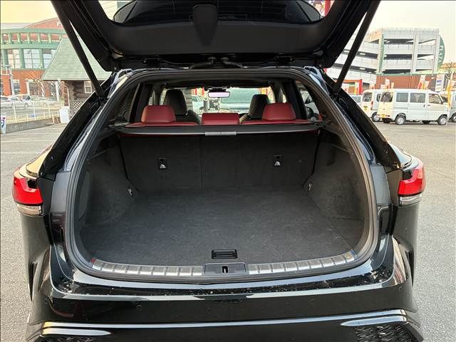 TOYOTA LEXUS RX500H 2023 Image 31