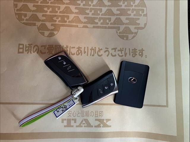 TOYOTA LEXUS RX500H 2023 Image 31