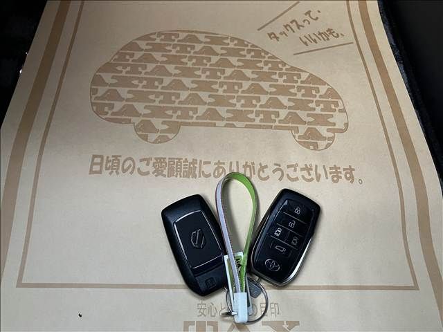 TOYOTA ALPHARD HYBRID 2024 Image 31