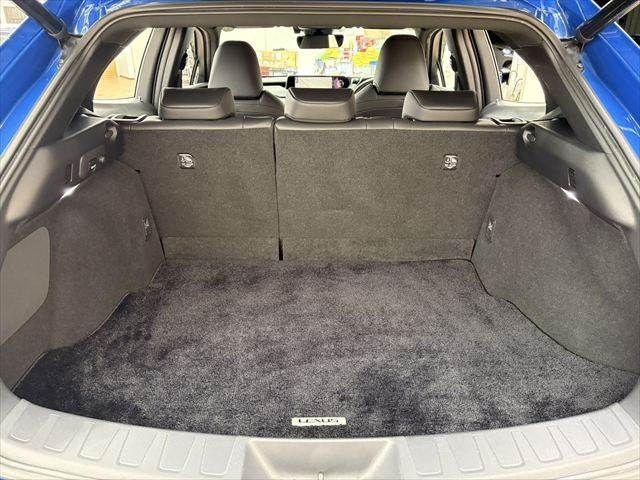 TOYOTA LEXUS UX300E 2021 Image 31