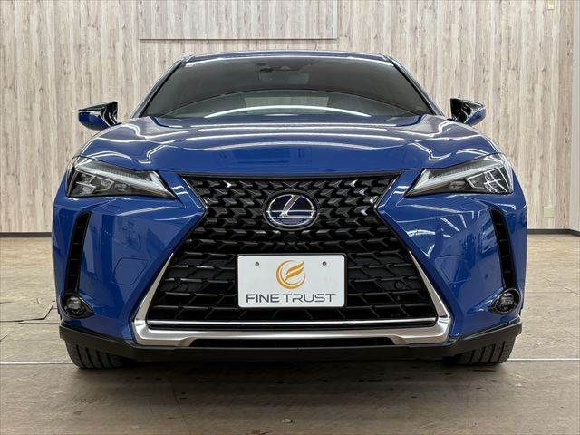 TOYOTA LEXUS UX300E 2021 Image 31