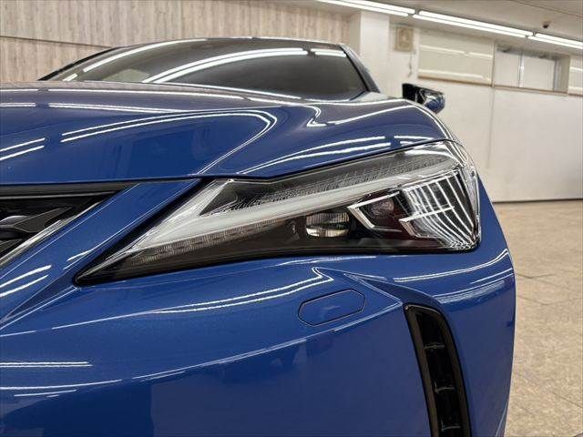 TOYOTA LEXUS UX300E 2021 Image 31