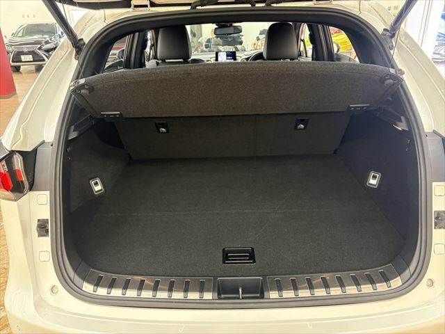 TOYOTA LEXUS NX300H 2014 Image 31