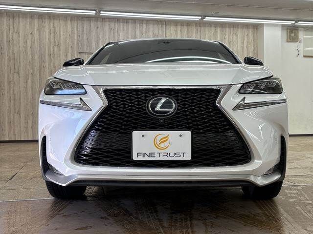 TOYOTA LEXUS NX300H 2014 Image 31