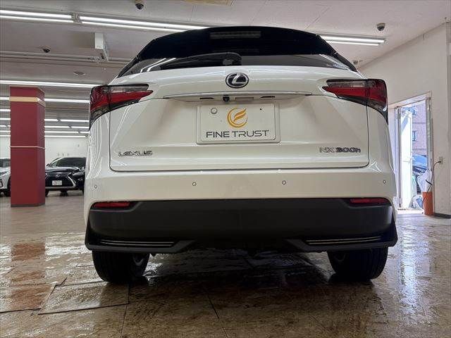 TOYOTA LEXUS NX300H 2014 Image 31