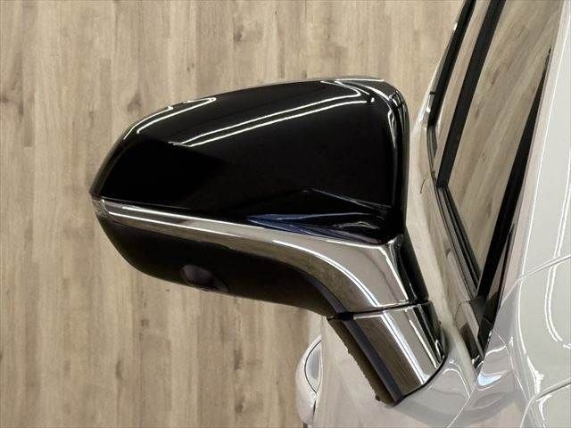 TOYOTA LEXUS NX300H 2014 Image 31