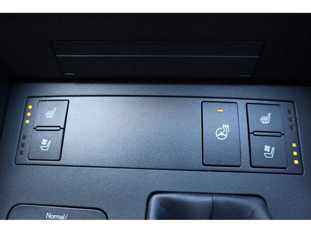 TOYOTA LEXUS IS300H 2023 Image 31