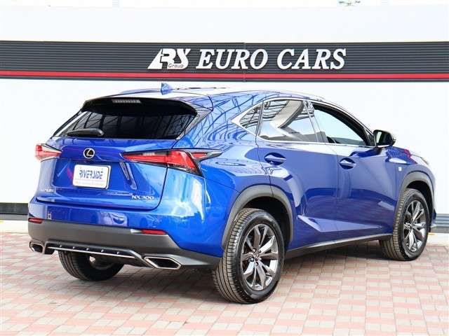 TOYOTA LEXUS NX300 2020 Image 31
