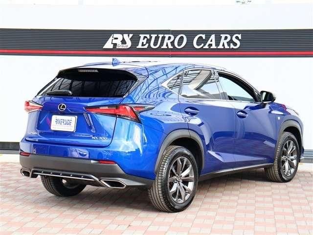 TOYOTA LEXUS NX300 2020 Image 31