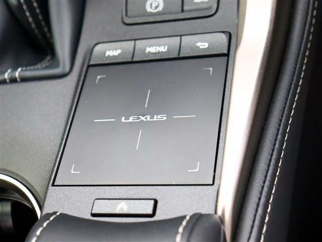 TOYOTA LEXUS NX300 2020 Image 31