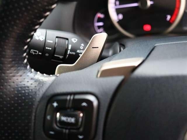 TOYOTA LEXUS NX300 2020 Image 31