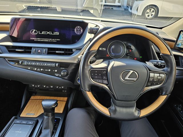 TOYOTA LEXUS ES300H 2019 Image 31