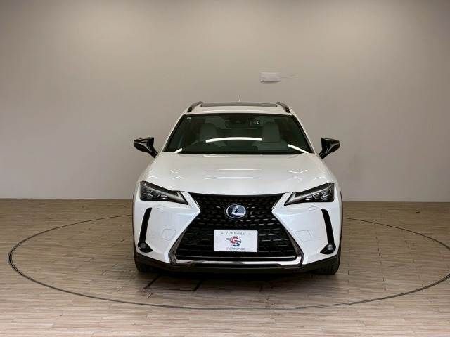 TOYOTA LEXUS UX250H 2021 Image 31