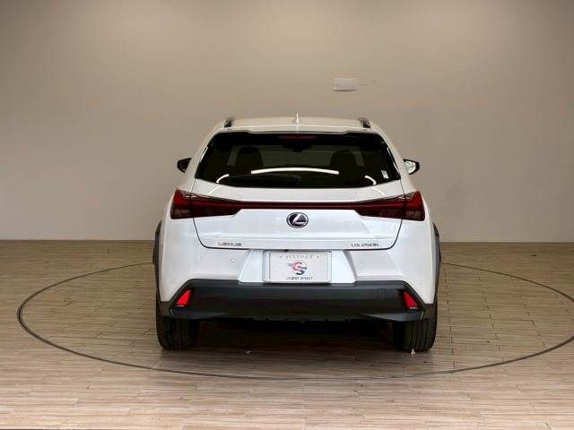 TOYOTA LEXUS UX250H 2021 Image 31