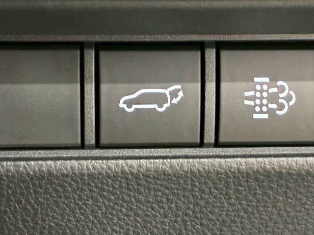 TOYOTA LANDCRUISER 250 2024 Image 31